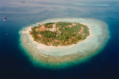 picture of Maldives 1993
 Maldives