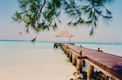 picture of Maldives 1993
 Maldives
