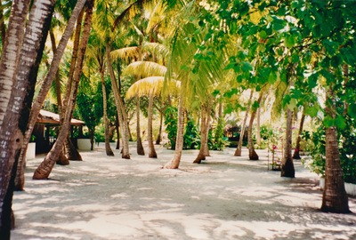 picture of Maldives 1993
 Maldives