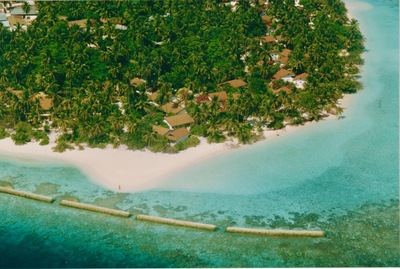 picture of Maldives 1993
 Maldives