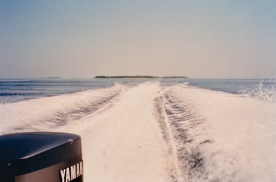 picture of Maldives 1993
 Maldives