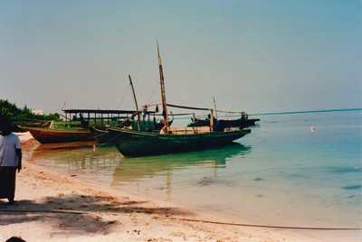 picture of Maldives 1993
 Maldives