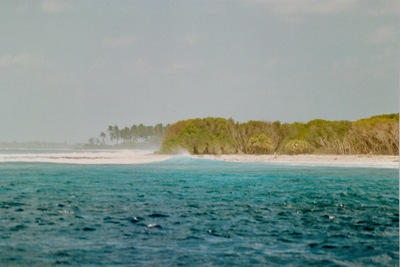 picture of Maldives 1993
 Maldives