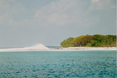 picture of Maldives 1993
 Maldives