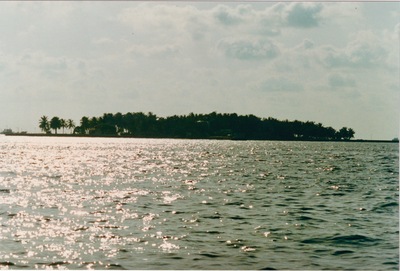 picture of Maldives 1993
 Maldives