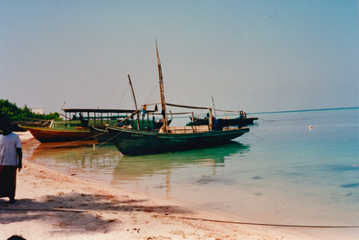 picture of Maldives 1993
 Maldives