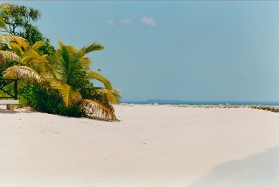 picture of Maldives 1993
 Maldives