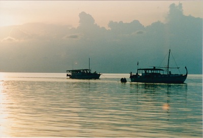 picture of Maldives 1993
 Maldives