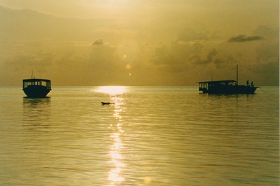 picture of Maldives 1993
 Maldives