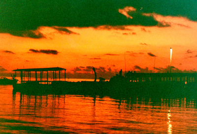 picture of Maldives 1993
 Maldives