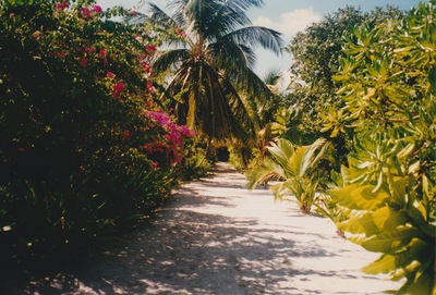 picture of Maldives 1997
 Maldives