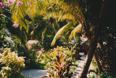 picture of Maldives 1997
 Maldives