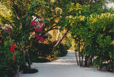 picture of Maldives 1997
 Maldives
