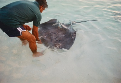 picture of Maldives 1997
 Maldives