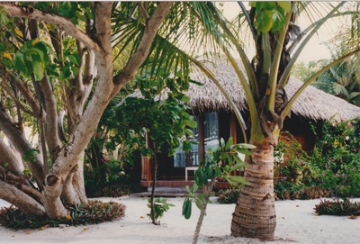 picture of Maldives 1997
 Maldives