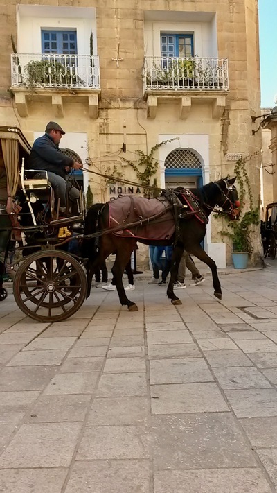 picture of Malta Jan 2019
 Malta