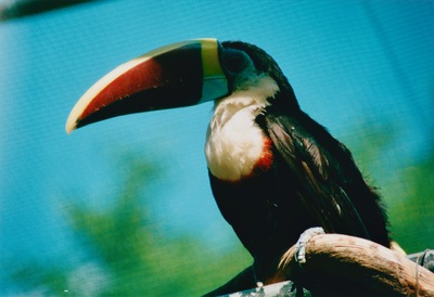 picture of Around Mauritius
 Mauritius