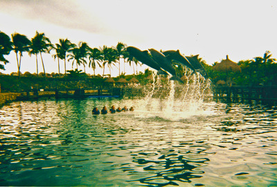 picture of Mexico 1999
 Mexico