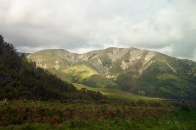 picture of Arthurs Pass
 NewZealand