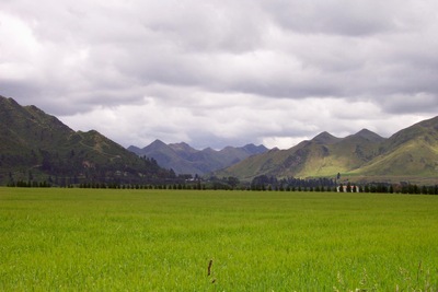picture of Arthurs Pass
 NewZealand