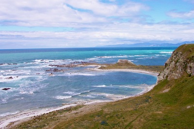 picture of Driving up the east coast
 NewZealand