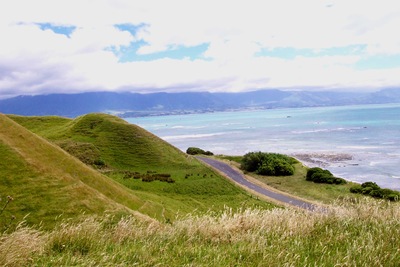 picture of Driving up the east coast
 NewZealand