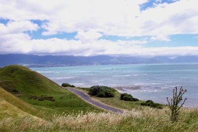picture of Driving up the east coast
 NewZealand