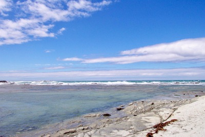 picture of Driving up the east coast
 NewZealand