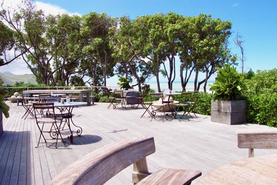 picture of Driving up the east coast
 NewZealand