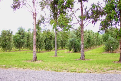 picture of Ponder Estate
 NewZealand