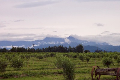 picture of Ponder Estate
 NewZealand