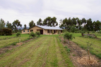 picture of Ponder Estate
 NewZealand