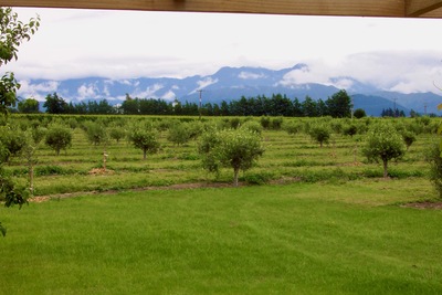 picture of Ponder Estate
 NewZealand