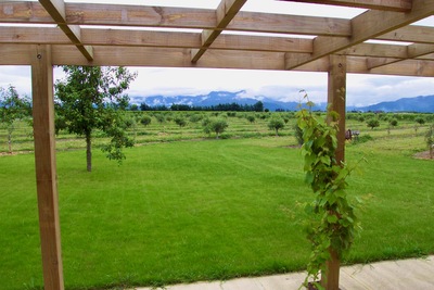 picture of Ponder Estate
 NewZealand