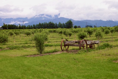picture of Ponder Estate
 NewZealand