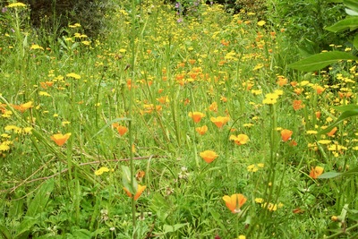 picture of Ponder Estate
 NewZealand