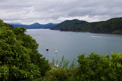 picture of Picton
 NewZealand