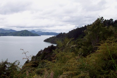 picture of Picton
 NewZealand