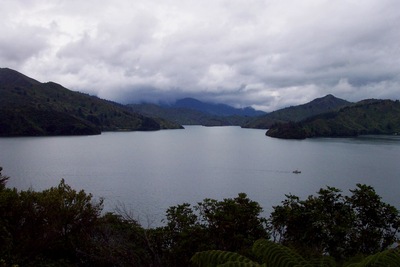 picture of Picton
 NewZealand