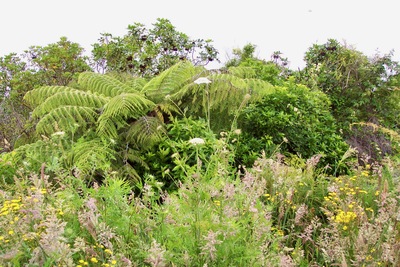 picture of Picton
 NewZealand