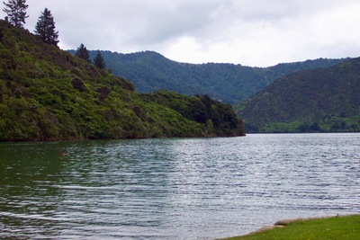 picture of Picton
 NewZealand