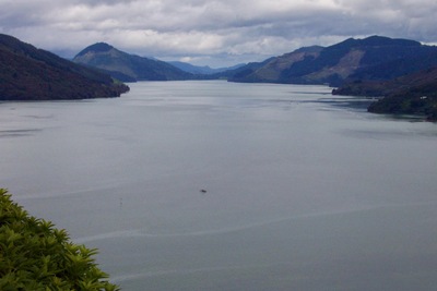 picture of Picton
 NewZealand