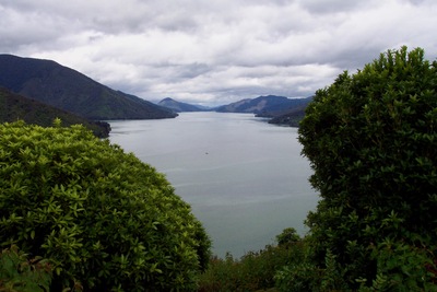 picture of Picton
 NewZealand