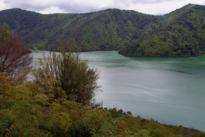 picture of Picton
 NewZealand
