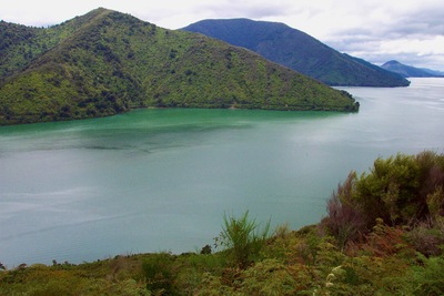 picture of Picton
 NewZealand