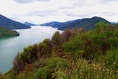 picture of Picton
 NewZealand