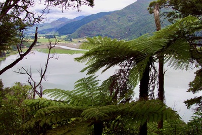 picture of Picton
 NewZealand
