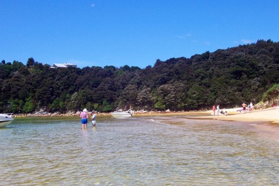 picture of Abel Tasman National Park
 NewZealand
