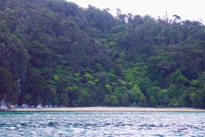 picture of Abel Tasman National Park
 NewZealand