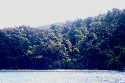 picture of Abel Tasman National Park
 NewZealand